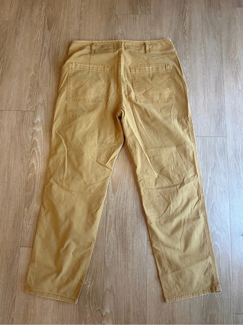 Anthropologie The Wanderer Tan Cargo Pants